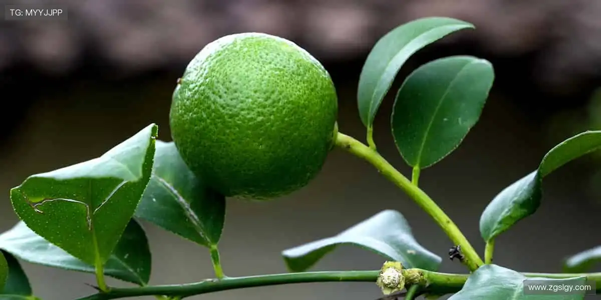 无论输赢,都是青春最燃的模样!🌟❤️